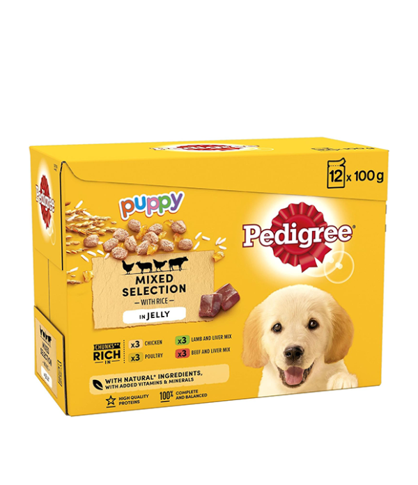 Pedigree Junior Wet Dog Food for Young Dogs and Puppies, 12 Pouches (12 x 100 g)