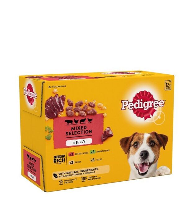 Pedigree Wet Dog Food for Adult Dogs Pouches Mixed Selection in Jelly, 12 Pouches (12 x 100g)